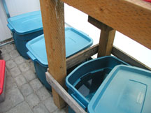 Low cost greenhouse cooling with water buckets