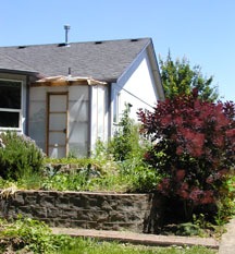 View of greenhouse