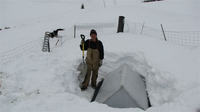 Solexx Greenhouse under the snow in Montana