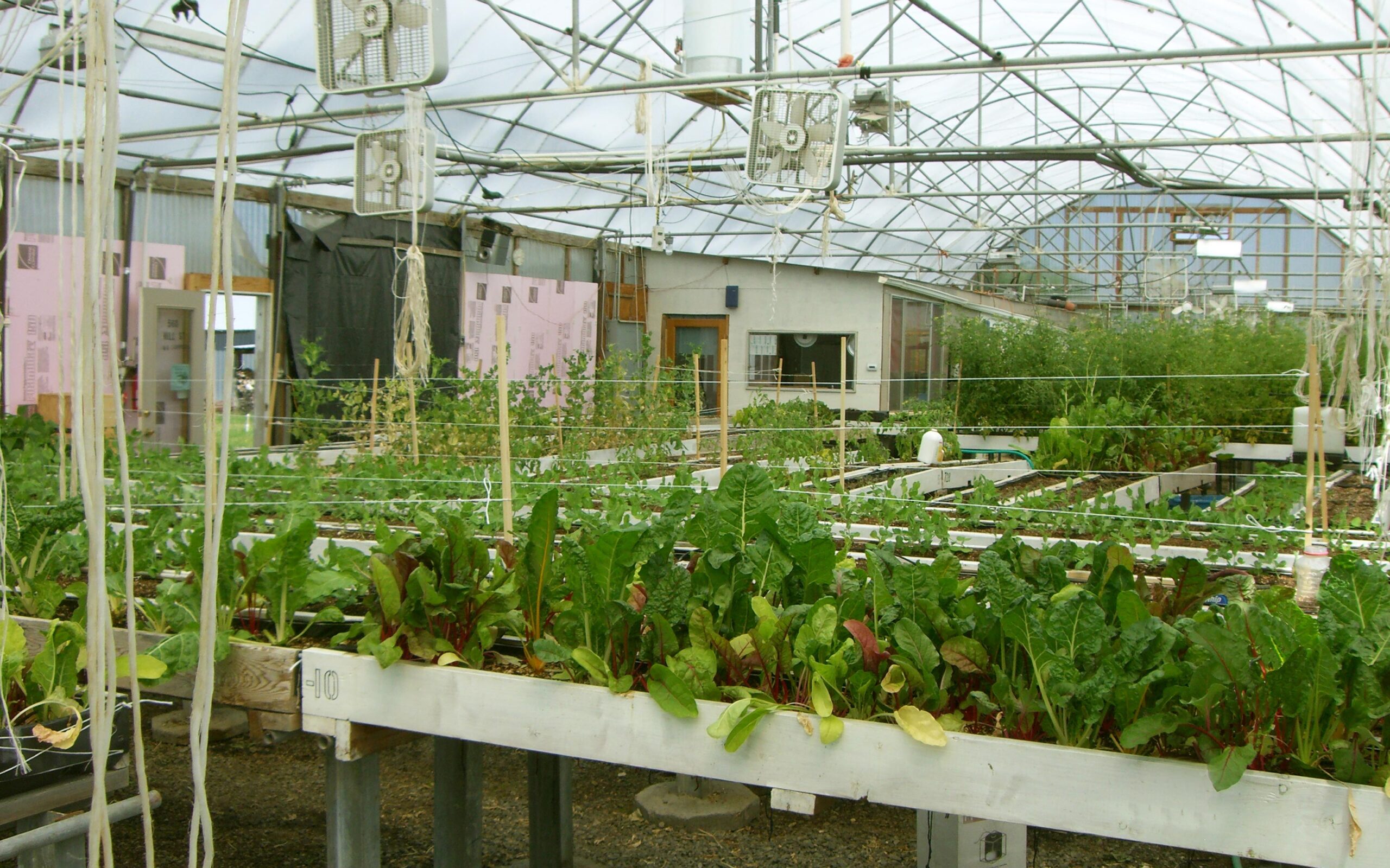 Large greenhouse with solexx covering. Lots of green plants.