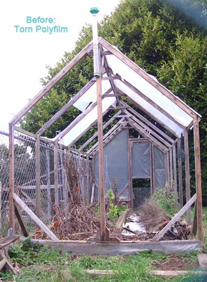 greenhouse frame with torn poly film