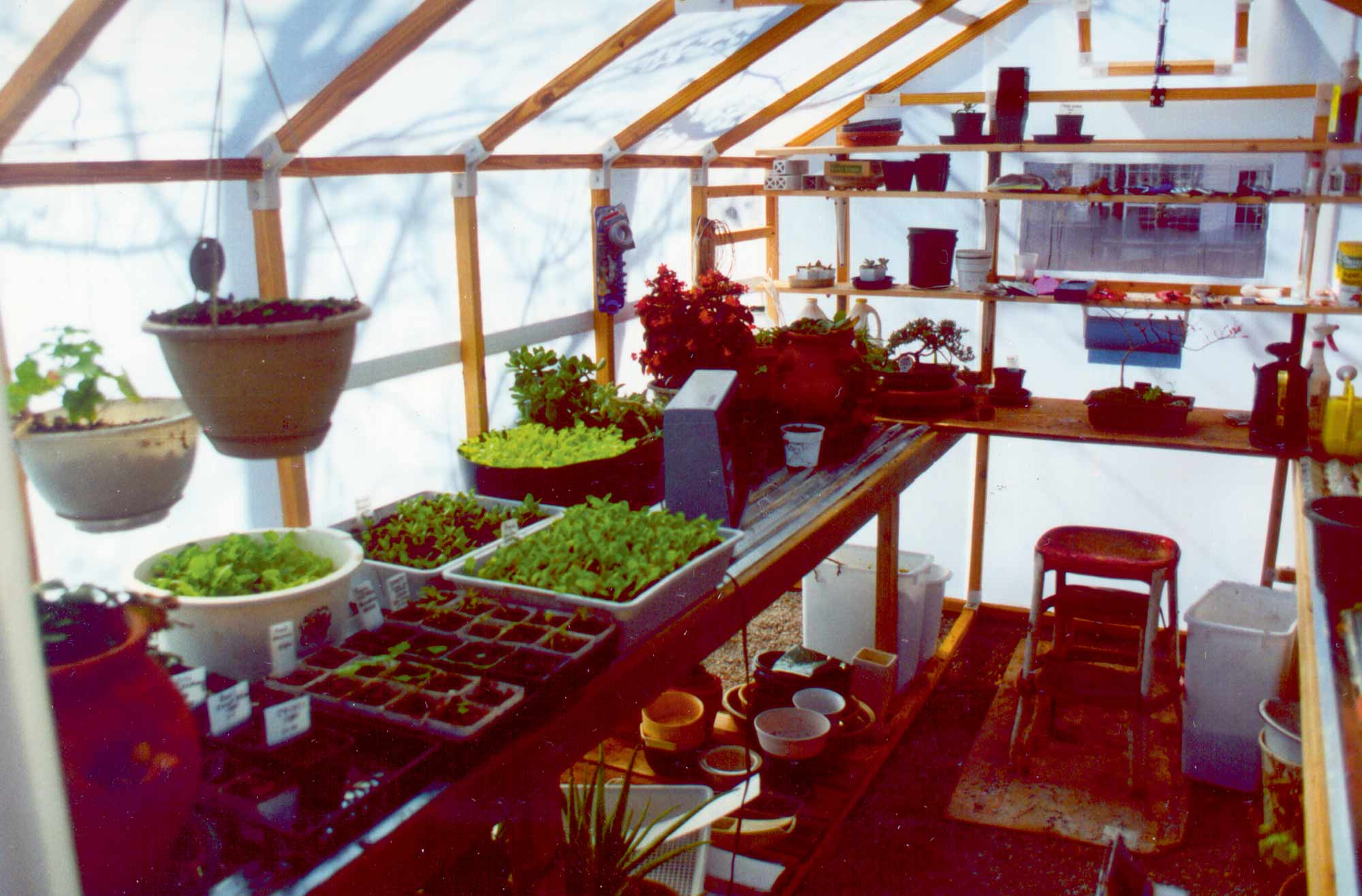 gable-greenhouse-solexx-glow