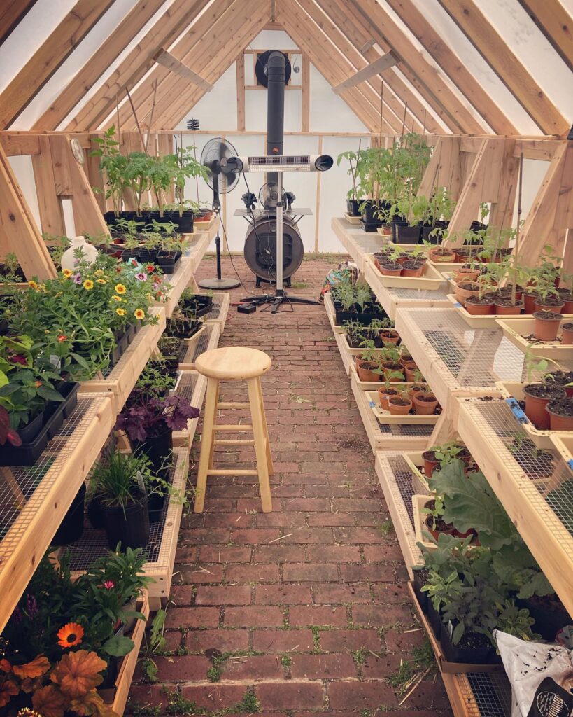 Greenhouse benches made of wood and chicken wire