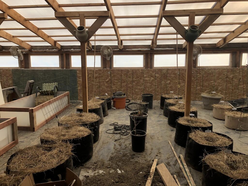 Greenhouse interior with raised beds and fabric beds