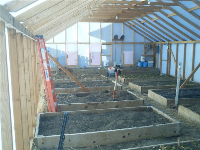 Large raised beds placed throughout the greenhouse