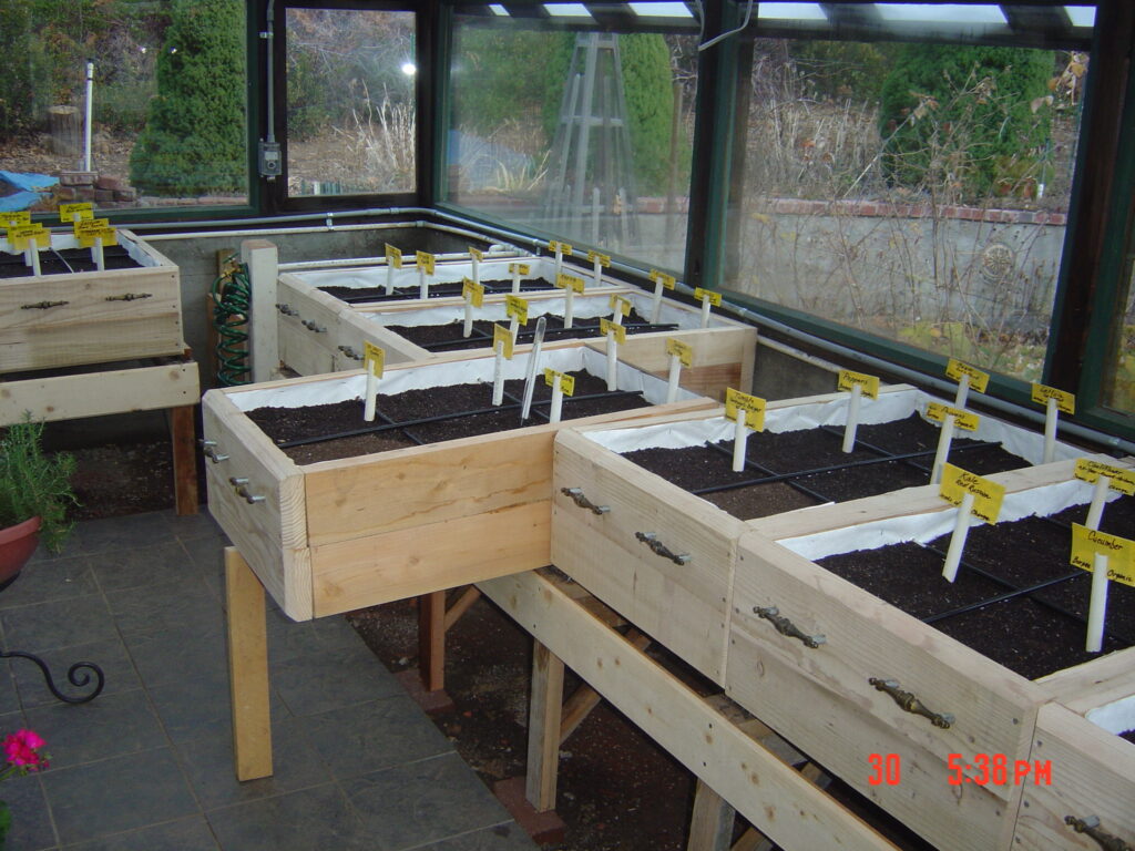 Lined wooden drawers for growing in the greenhouse