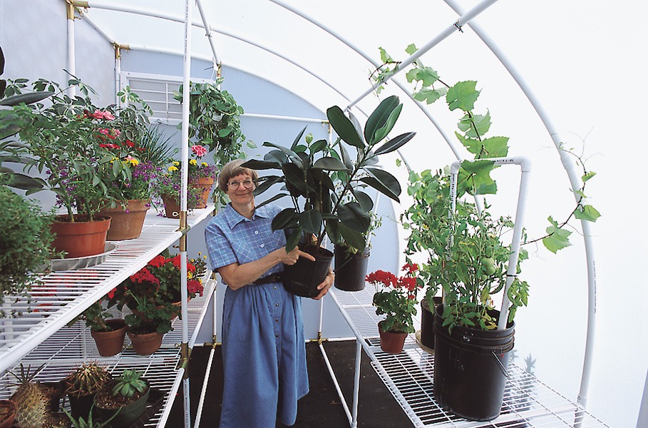 Solexx Harvester Lean-to Greenhouse inside