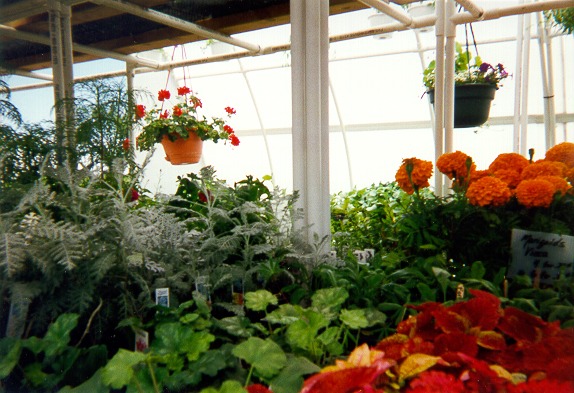 Inside a solexx greenhouse in New York State