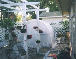 Early Bloomer Florida