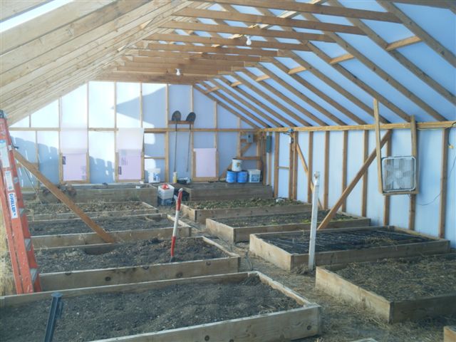 Greenhouse from the inside. Growing in several large raised beds.