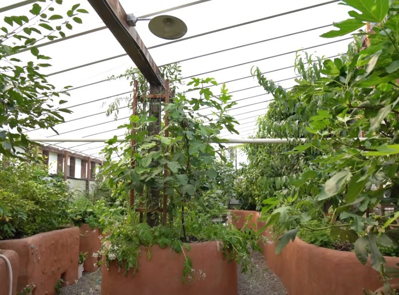 Inside view of the greenhouse 3