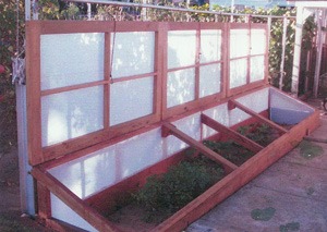 Long cold frame raised up. Made of wood framing and Solexx white panels